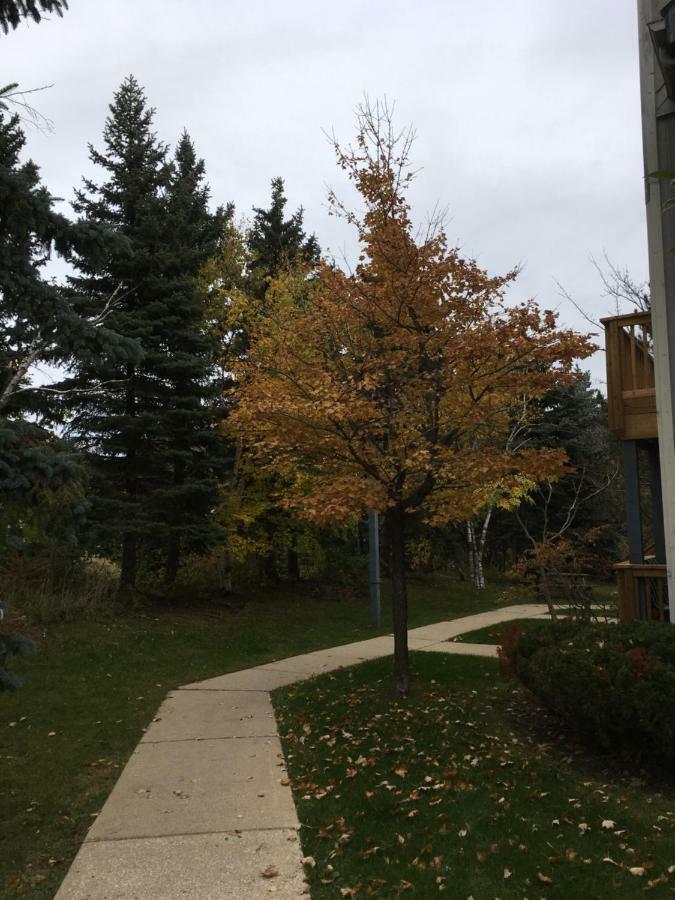 Blue Mountain Getaway At North Creek Resort King Bed Montanhas Azuis Exterior foto
